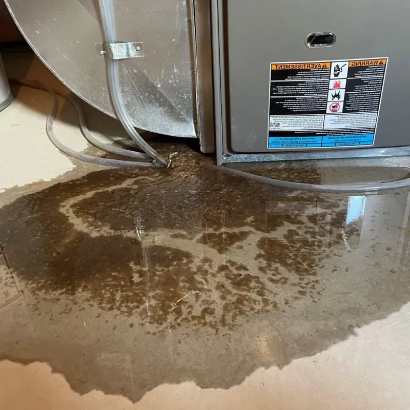 Pipe Burst and Leak Restoration in Francisville, KY