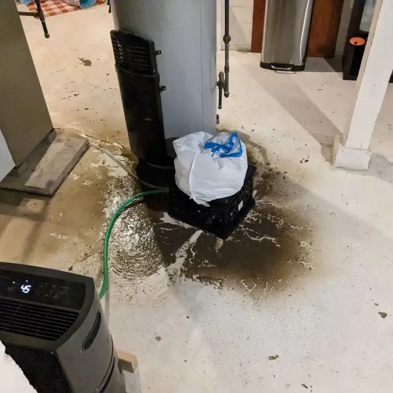 Sewage Backup Cleanup Service in Francisville, KY